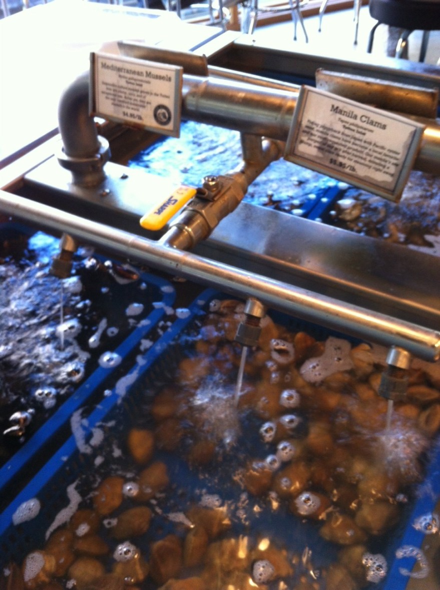 Seafood pasta Taylor